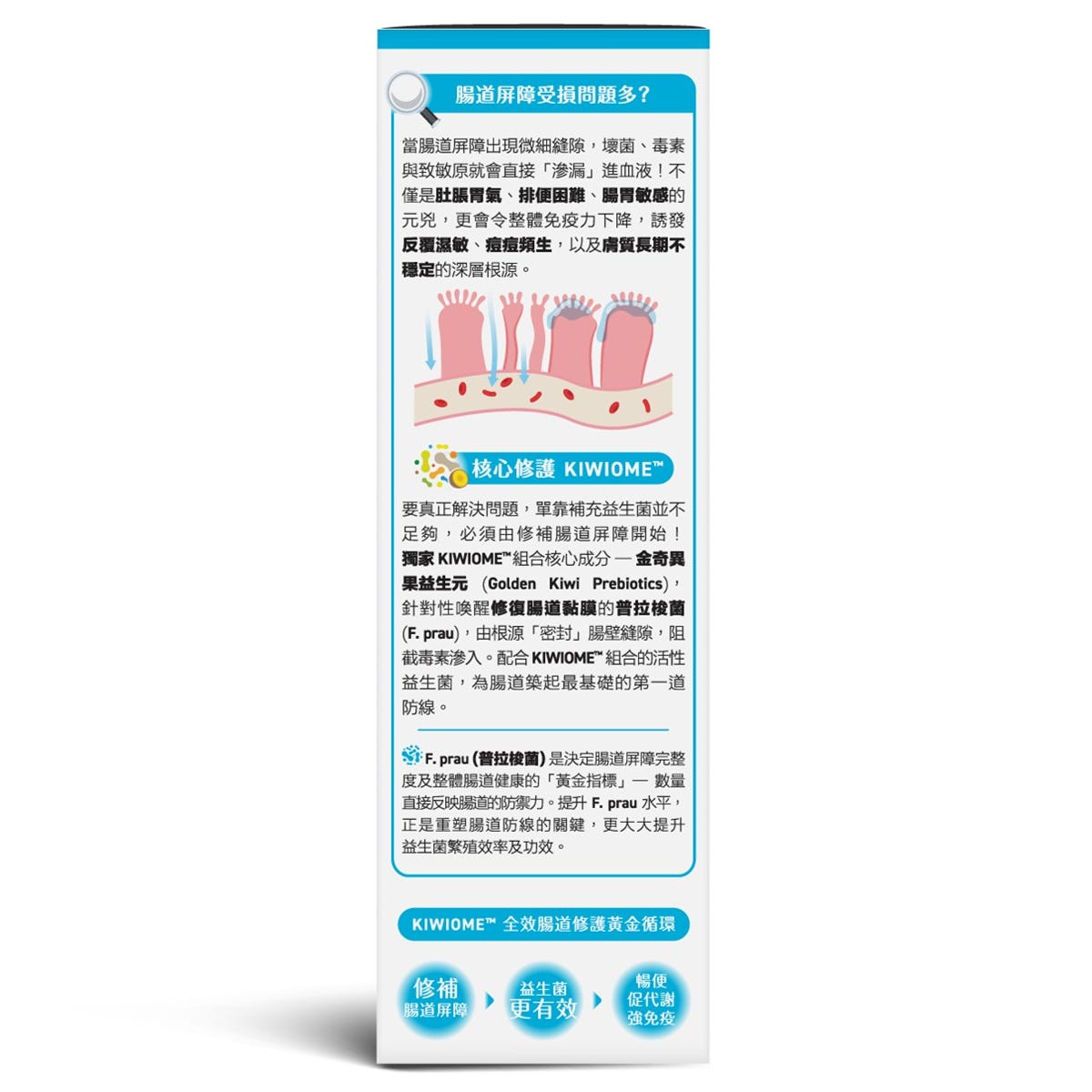 Holdbody益生菌抗敏免疫配方 20包