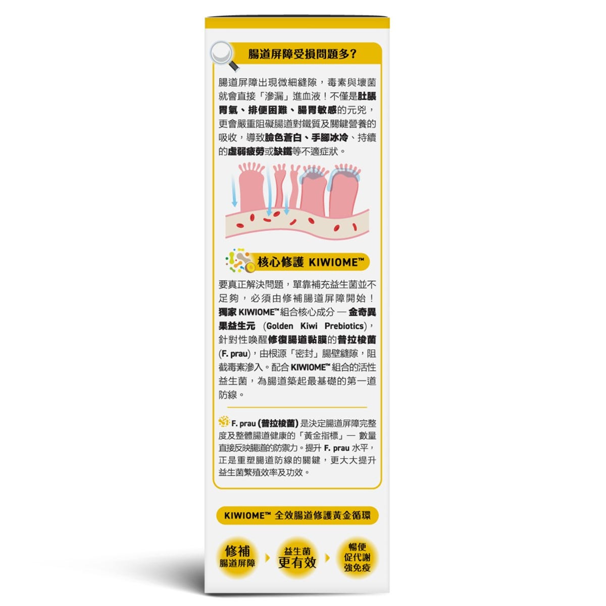Holdbody益生菌排毒抗疲勞配方 20包