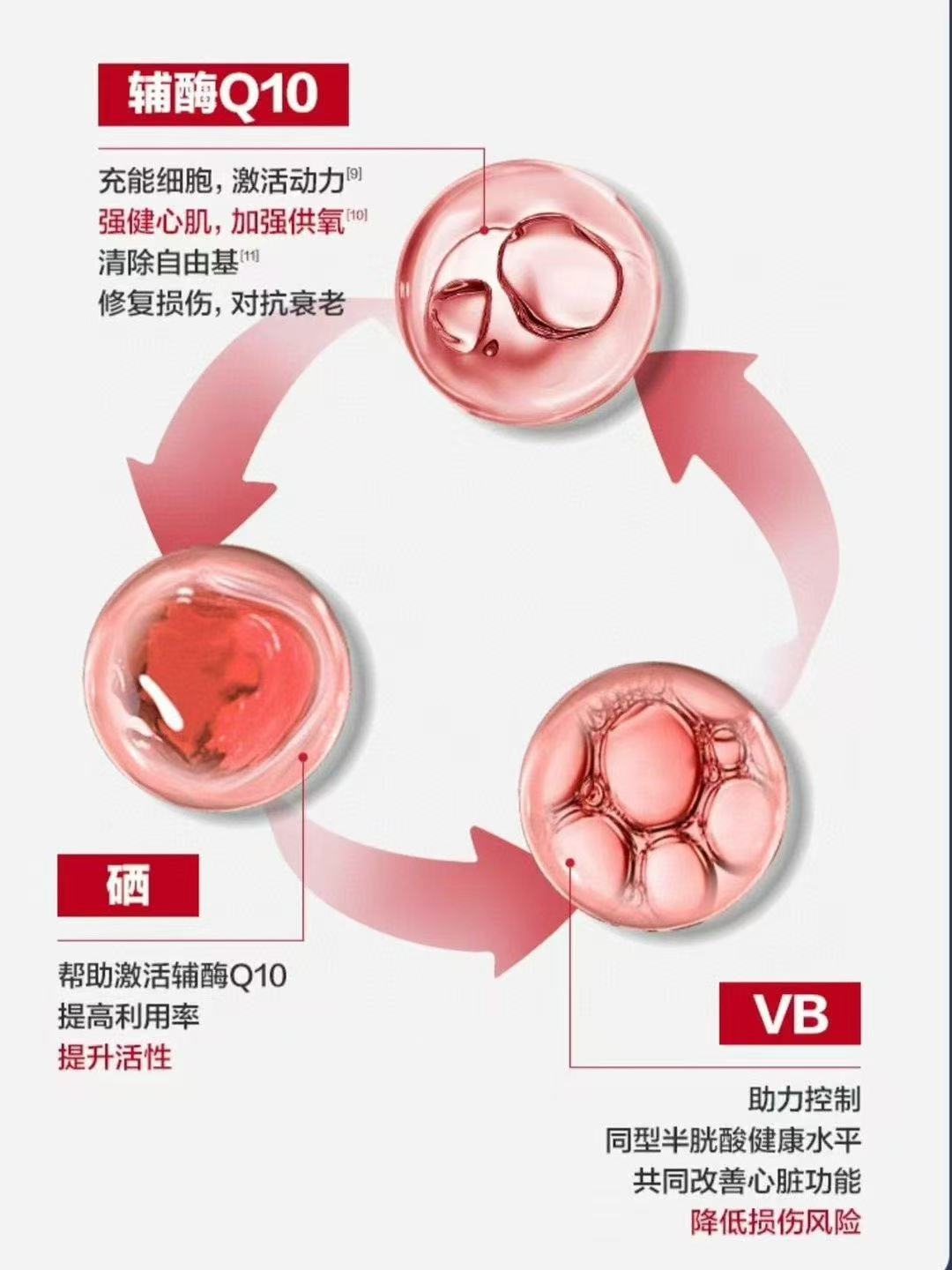 拜耳OneADay奶薊草輔酶Q10 强健心肌 加强供氧 修復損傷 對抗衰老 60粒