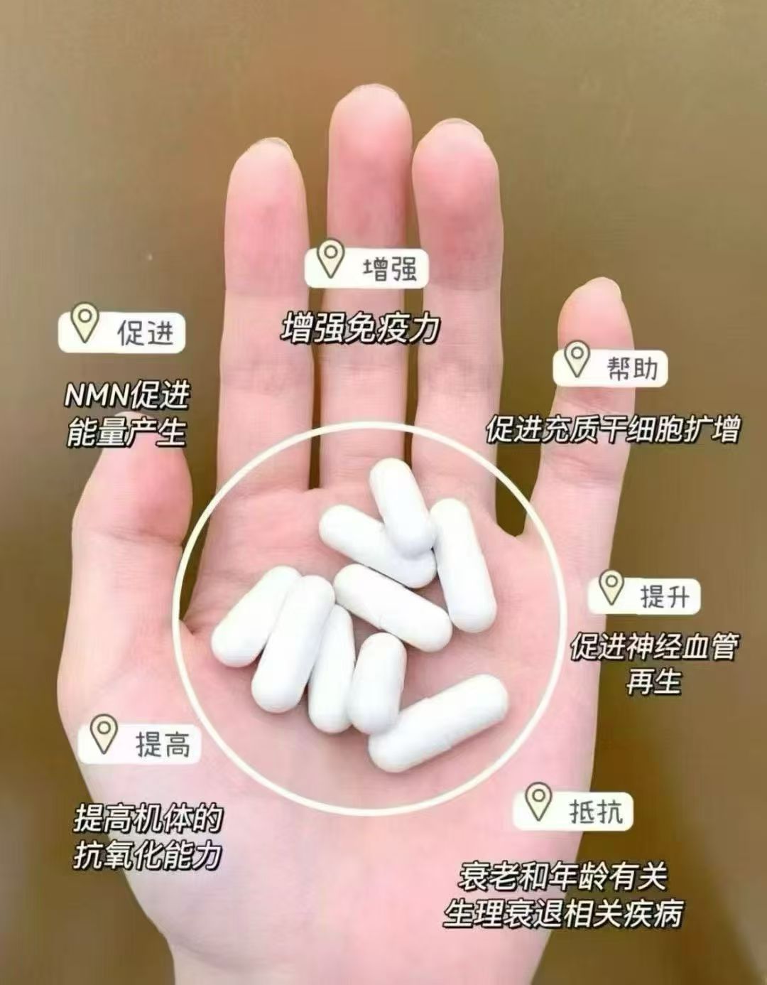 Seasons思晨 田心日辰 NMN逆轉齡30000 60粒 香港行貨 助穩定血脂、膽固醇、改善血管退化、保持血管年輕、維持血管彈性柔韌性及流通暢通，維持心臟健康