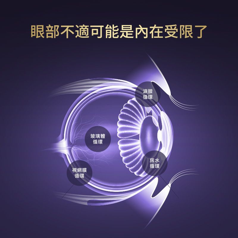 澳洲Youthit Ultra Vision優思益 超視界複合 黑曜石護眼片專利葉黃素60粒 越橘蝦青素