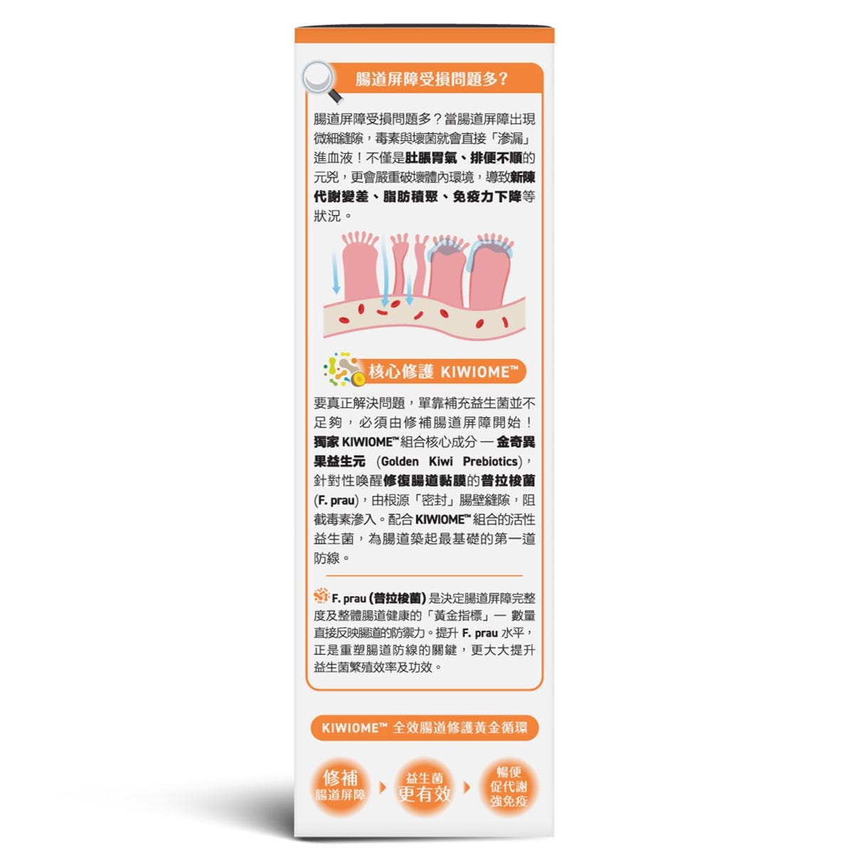 Holdbody益生菌瘦身排毒配方 20包