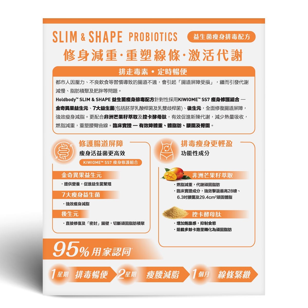 Holdbody益生菌瘦身排毒配方 20包