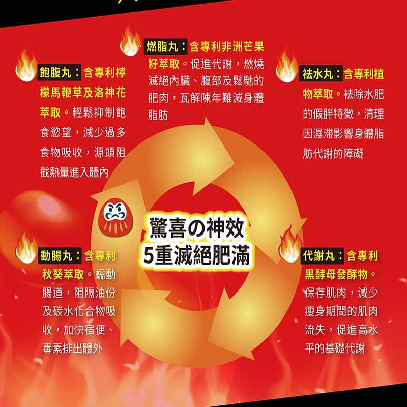 華人藥業 - Fat Extinction絕脂神日夜配方 28包 燃脂 袪水 減肥 瘦身[原裝行貨]