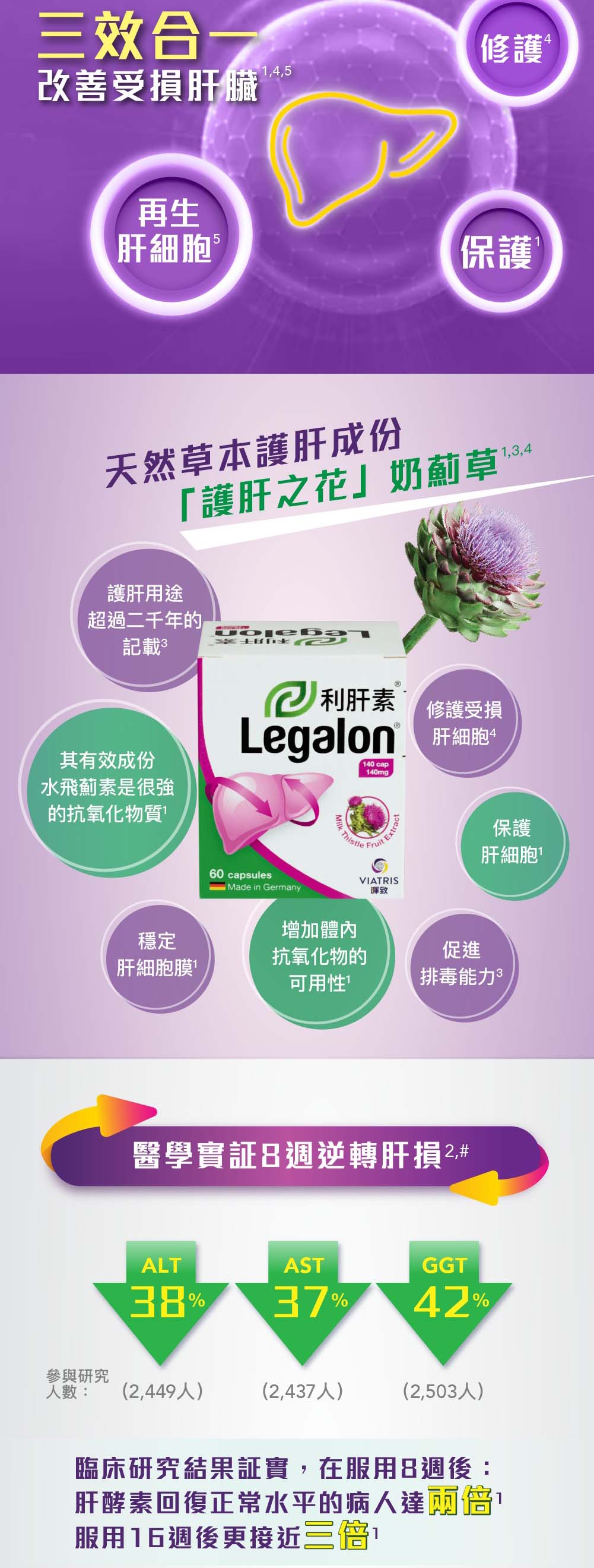 Legalon - 利肝素® 140MG 60粒裝 水飛薊 (正版行貨) EXP：2030年 【2天送達】