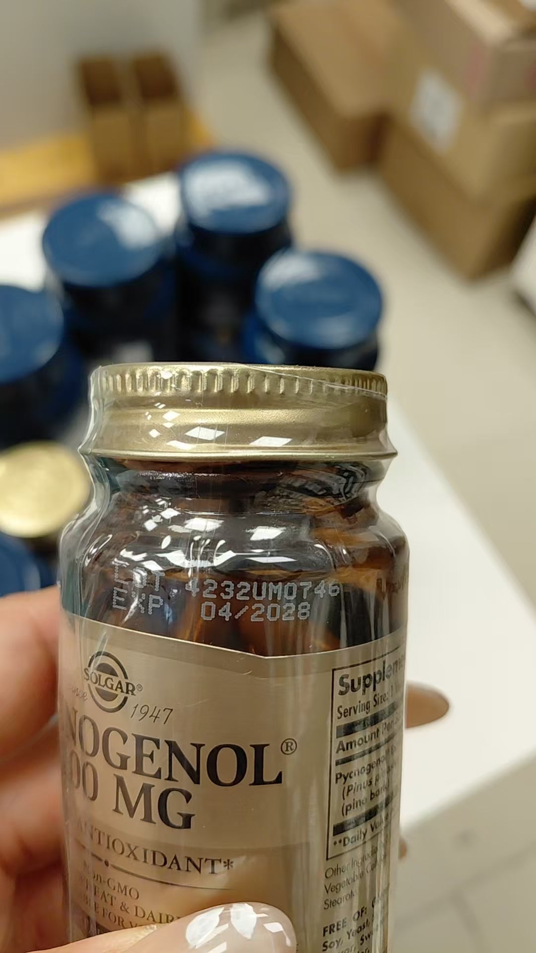 美國Solgar pycnogenol 100毫克 碧羅芷 30粒膠囊 EXP：2028 【2日送達】